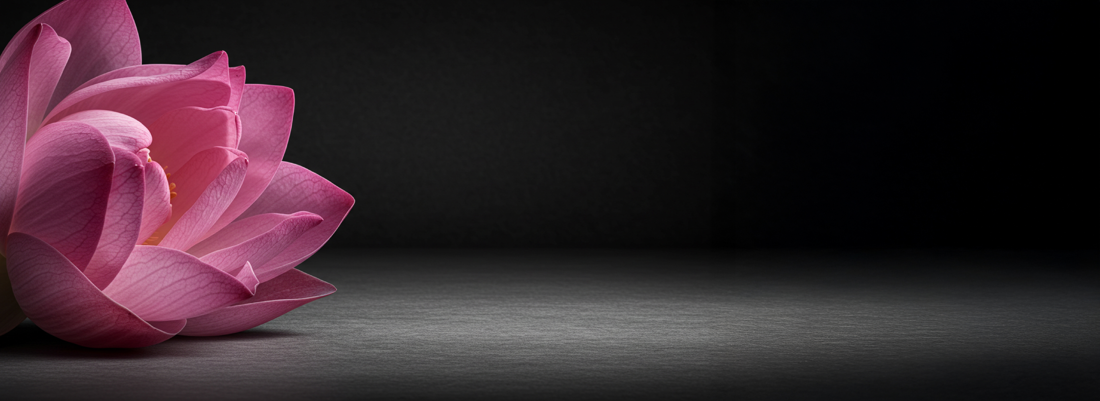 清らかな始まりの予感